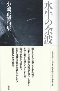 小池正博　『水牛の余波』