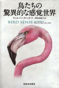 バークヘッド『鳥たちの驚異的な感覚世界』
