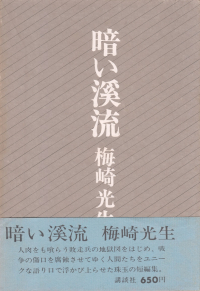 梅崎光生『暗い渓流』