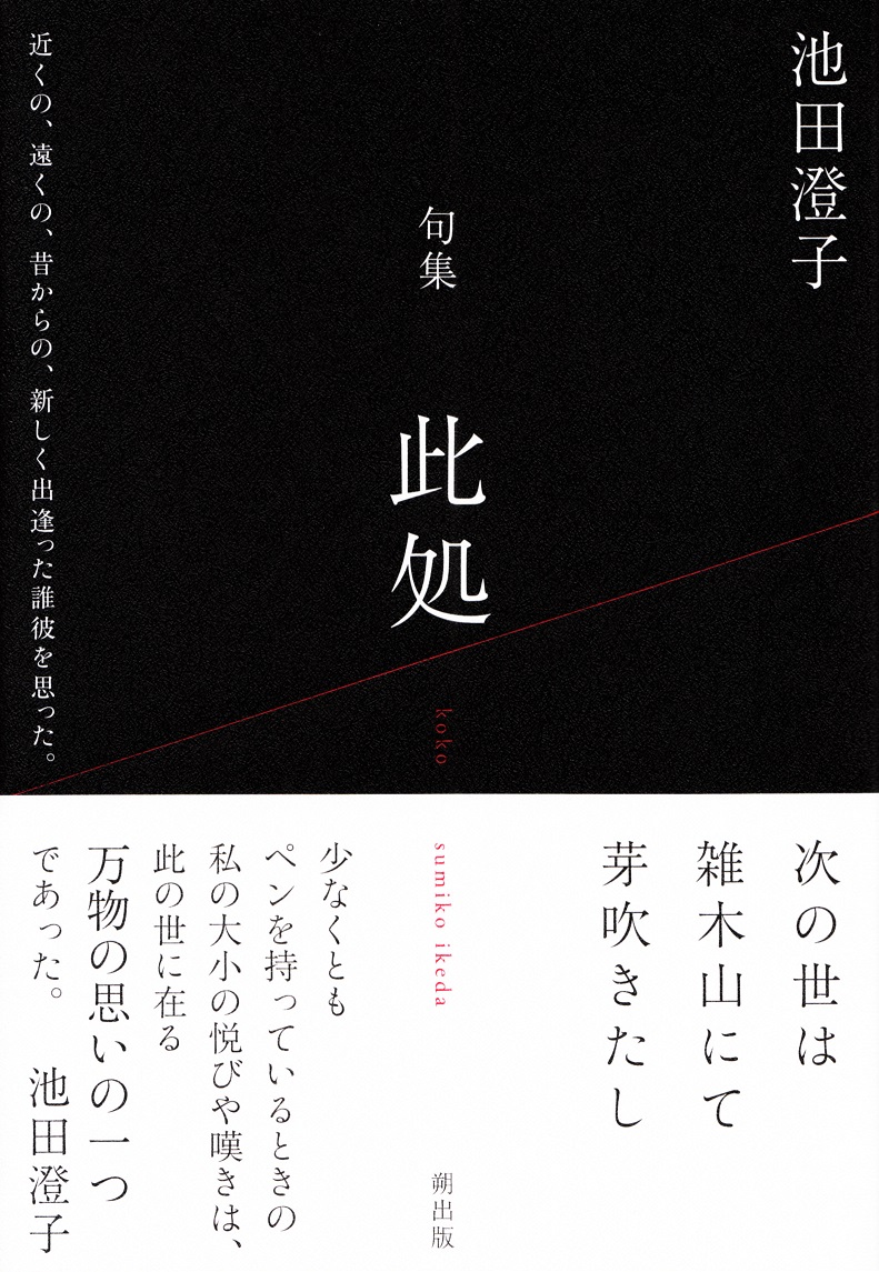 閑中俳句日記（別館） －関悦史－: 【十五句抄出】池田澄子句集『此処』