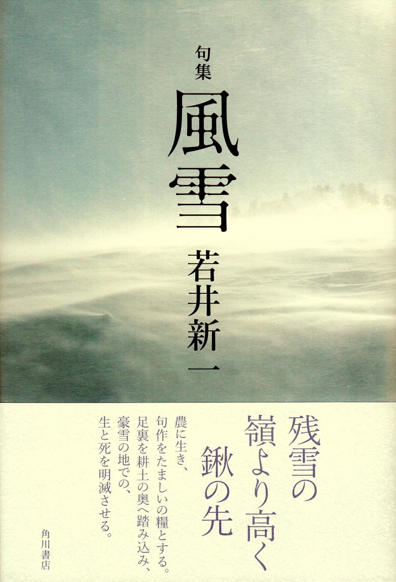 閑中俳句日記（別館） －関悦史－: 【十五句抄出】若井新一句集『風雪』