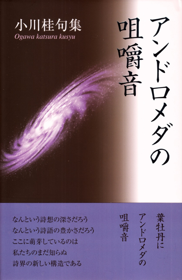 こほりの影―原田桂子句集 こほりの影—原田桂子句集 その他